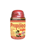 Propóleo Freshly Miel Jengibre 350g Nutritivo – Natural Freshly